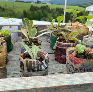 Paperpotmaker - Topf Macher aus Holz – Bild 7