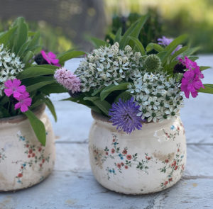 Topf Scabiosa bauchig