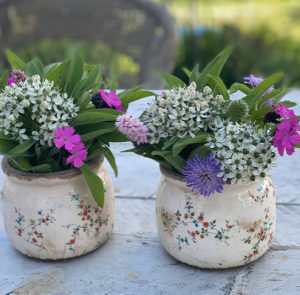 Topf Scabiosa bauchig – Bild 4