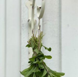 Wandaufhang Rosmarin – Bild 2