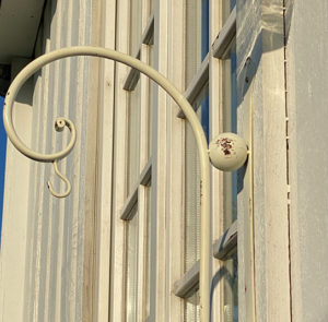 Wandaufhang Rosmarin – Bild 3