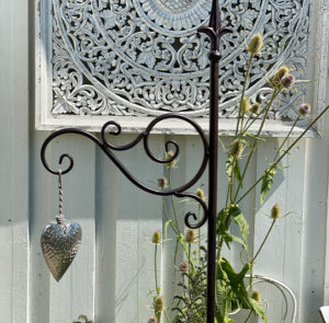 Gartenstab Cirsium – Bild 2