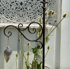 Gartenstab Cirsium – Bild 7