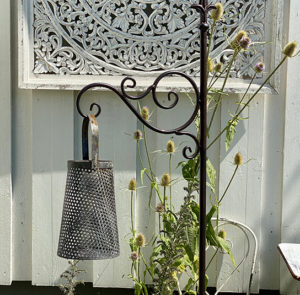 Gartenstab Cirsium – Bild 6