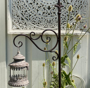 Gartenstab Cirsium – Bild 5
