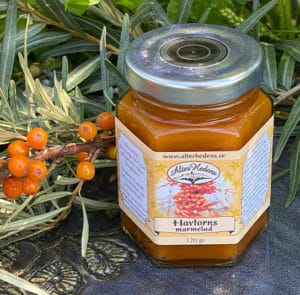 Hippophae rhamnoides 'Askola' - Sanddorn weiblich – Bild 7