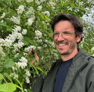 Prunus padus - Traubenkirsche – Bild 5