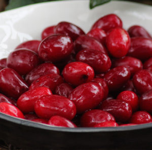 Cornus mas 'Schönbrunner Gourmet Dirndl' - Kornelkirsche, Dirndlstrauch, reichtragende Fruchtsorte – Bild 8