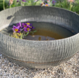 Wasserschale Lythrum groß – Bild 9