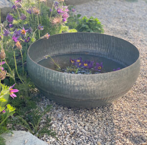 Wasserschale Lythrum groß – Bild 4