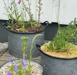 Zinktopf mit schwarzen Rand groß – Bild 5