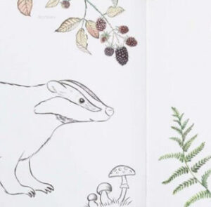 Naturmalbuch – Bild 4