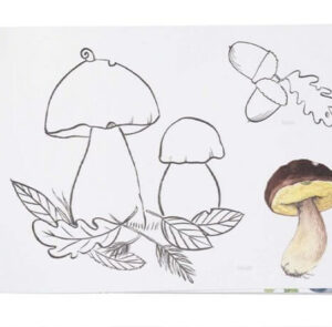 Naturmalbuch – Bild 2