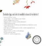 Natur Garten Tafel - 10 Tipps