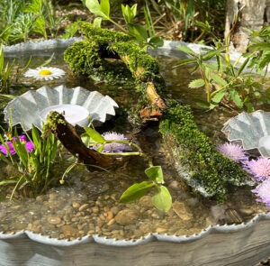 Pulsatilla Wasserschale groß – Bild 3