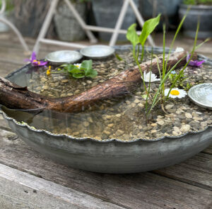 Pulsatilla Wasserschale groß – Bild 13