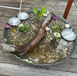 Pulsatilla Wasserschale groß – Bild 11