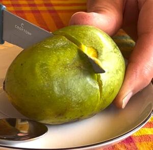 2 Stk. Kombi für besseren Ertrag:    1 Stk. TOP-Sorte 'Prima' + 1 Stk. Wildform Pawpaw (Ersparnis 4,90€) – Bild 9