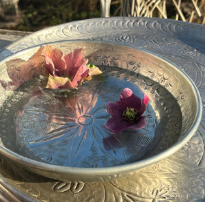 Schale Flora silber – Bild 12