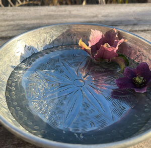 Schale Flora silber – Bild 5