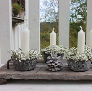 Kieferzapfen 5 Stk white washed – Bild 4