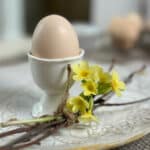 Eierbecher vit