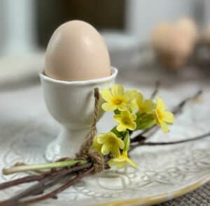 Eierbecher vit