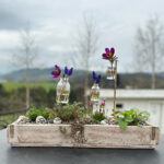 Balkonkasten, Blumenkasten Kombi 2 - inkl. Ziegelform und Pflanzen