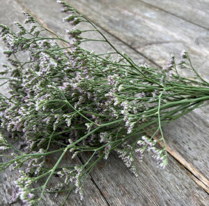 Strandflieder - Limonium im Bund Lila – Bild 3