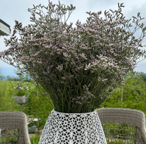 Strandflieder - Limonium im Bund Lila – Bild 13