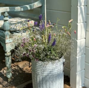 Tof Centranthus hoch – Bild 7