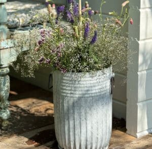 Tof Centranthus hoch – Bild 9