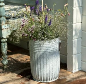 Tof Centranthus hoch – Bild 11