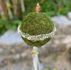 Moos-Kugel-Set – Bild 7