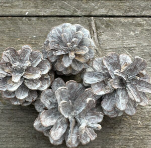 Kieferzapfen 5 Stk white washed – Bild 9