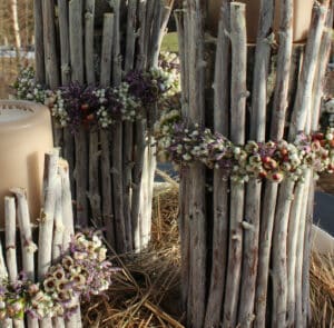 Strandflieder - Limonium im Bund Lila – Bild 7