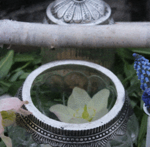 Glasdose Isi - 3 Größen – Bild 8