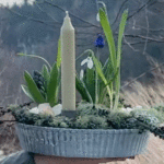 DIY - Frühlingsset Lieblingsteller