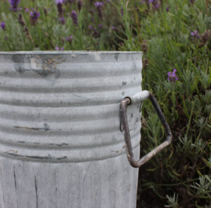 Tof Centranthus niedrig – Bild 5