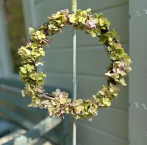 Tof Centranthus hoch – Bild 10