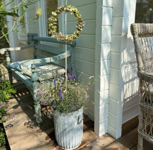 Tof Centranthus hoch – Bild 2