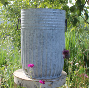 Tof Centranthus hoch