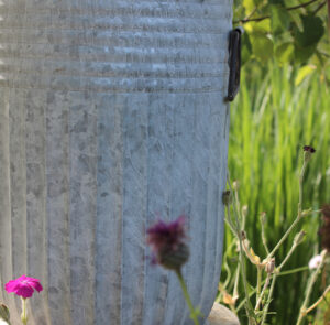 Tof Centranthus hoch – Bild 8