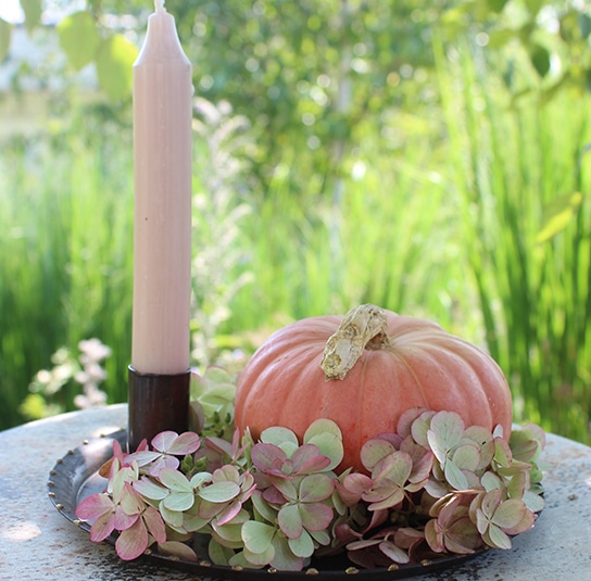 Set Kürbisdeko, Herbstdeko – Teller, Tablett Lauri klein, 1 Kerze – Nordischer Garten Shop