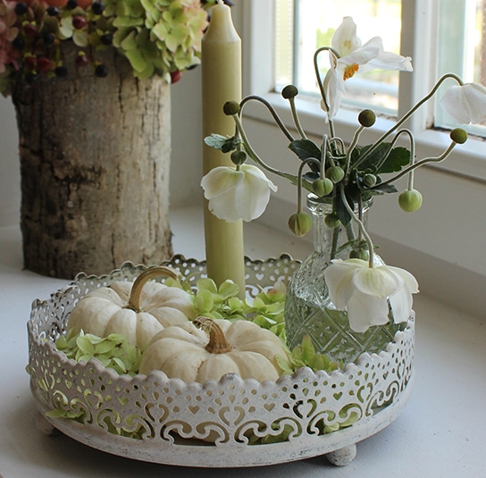 Set Kürbisdeko, Herbstdeko – Teller antique creme rund Baby Boo – Nordischer Garten Shop