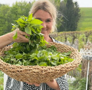 Betula pubescens - Heimische Moorbirke – Bild 9