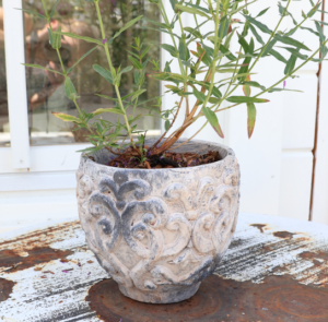 Übertopf, Topf Malvina antique creme/rose – Bild 7