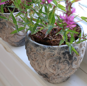 Übertopf, Topf Malvina antique creme/rose – Bild 5