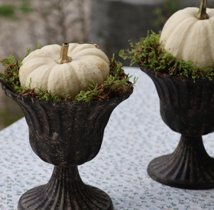 DIY Set - Herbstdeko - Topf Juna braun inkl. Kürbis & Moos