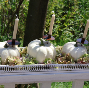 DIY Set - Herbstdeko - Tablett antique weiß länglich inkl. 3x Kürbis, Spieße & Kerzen – Bild 10